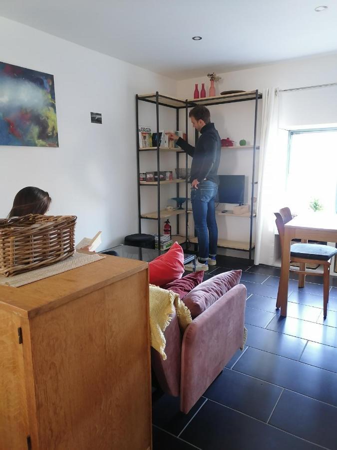 Gite La Maison La Saint-Aubin-d'Aubigne Ngoại thất bức ảnh